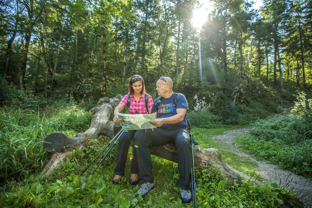 Pohodnika sedita na deblu sredi gozda in gledata pohodniški zemljevid. Mimo njiju poteka ozka pešpot, sončni žarki pa se v ozadju prebijajo skozi gosto drevje.