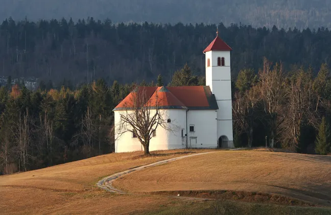 Cerkev svetega Volbenka ob vasi Zelše na samotnem hribu, pred njo stoji drevo, za njo pa se razprostira gozd.