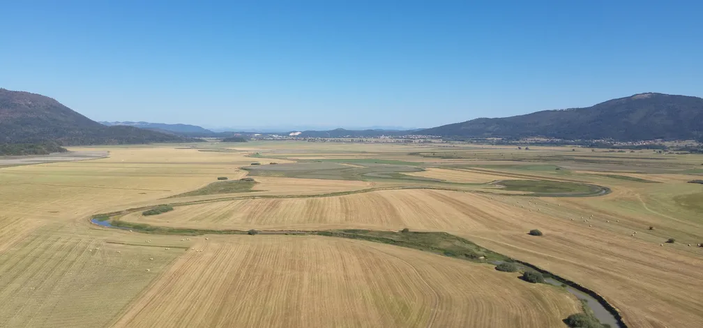 Pogled iz zraka na obsežno suho kraško polje z mozaikom pokošenih travnikov in njiv. Skozi ravnico se vije ozka struga vodotoka, ki tvori značilen meander. Polje obdajajo gozdnata pobočja in hribi, nad pokrajino pa se razprostira jasno modro nebo.