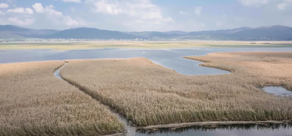 Panoramski pogled na obsežno mokrišče - Cerkniško jezero, z gosto rastočim trstičjem in ozkimi vodnimi kanali, ki se vijejo skozi vegetacijo. V ozadju je vidna hribovita pokrajina ter modro nebo z nekaj belimi oblaki.