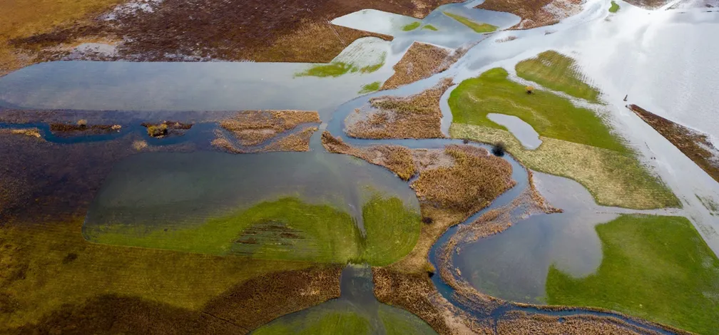 Zračna fotografija mokrišča z vijugastimi vodnimi kanali, plitvimi lagunami in zelenimi travnatimi otočki, prepletenimi z rjavimi pasovi vegetacije ter ozkimi nasipi ali potmi.
