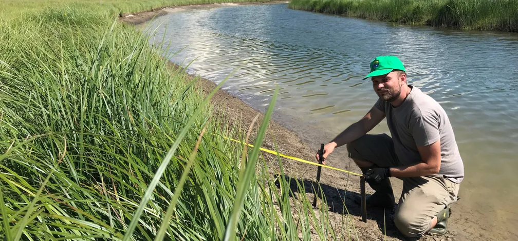 Oseba kleči ob ozkem vodnem kanalu, obdanem z gostim trstičjem in obrežno vegetacijo. V roki drži merilni trak ali merilno palico, s katero izvaja meritve na brežini. Voda mirno teče skozi kanal, ki se vije med zelenimi rastlinami. Fotografija prikazuje terensko delo in spremljanje stanja vodnega okolja v naravi.