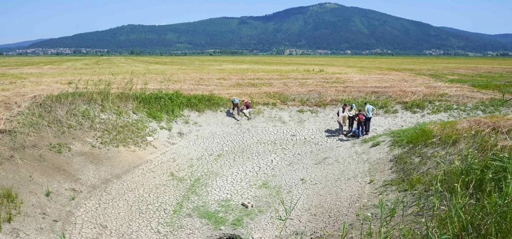 Širok pogled na suho kraško kotanjo z belim, razpokanim dnom, poraslim z redkimi zelenimi rastlinami. Na robovih kotanje raste visoka trava, v notranjosti pa je več manjših skupin obiskovalcev, ki opazujejo teren. V ozadju se razprostira ravnina in gozdnat hrib pod jasnim modrim nebom.