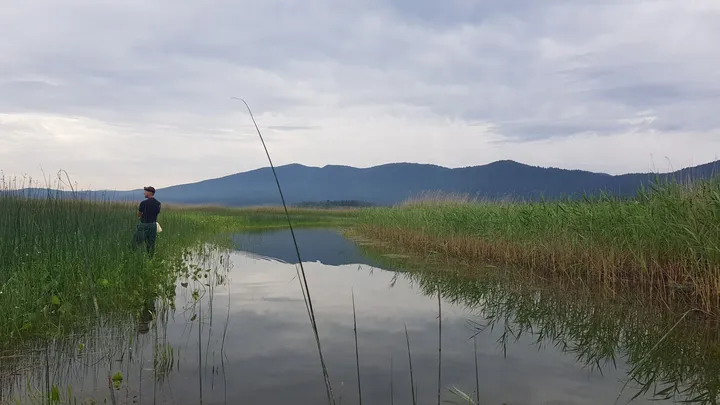Mirno vodno telo, obdano z gostim trstičjem na obeh straneh, ki se razteza proti obzorju. V ozadju so gozdnati hribi pod oblačnim sivkastim nebom. Na levi strani stoji oseba ob robu vode, medtem ko se v ospredju odseva trstičje in nebo na gladini.