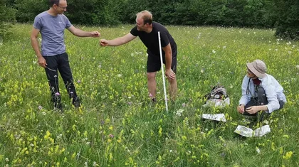 Trije ljudje na travniku z rumenimi cvetlicami. Ena oseba stoji na levi, druga v sredini drži dolg palico in sega proti prvi osebi, tretja pa kleči na desni ob papirjih ali knjigah, razprostrtih po tleh. V ozadju so drevesa in več trave.